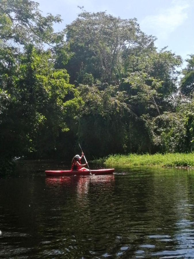 Hospedaje Meryscar Tortuguero Luaran gambar