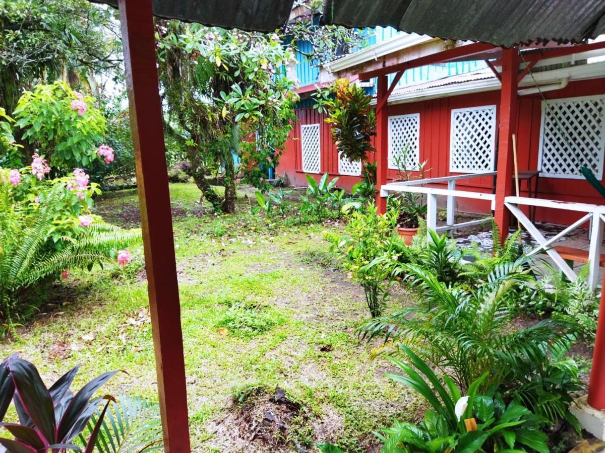 Hospedaje Meryscar Tortuguero Luaran gambar