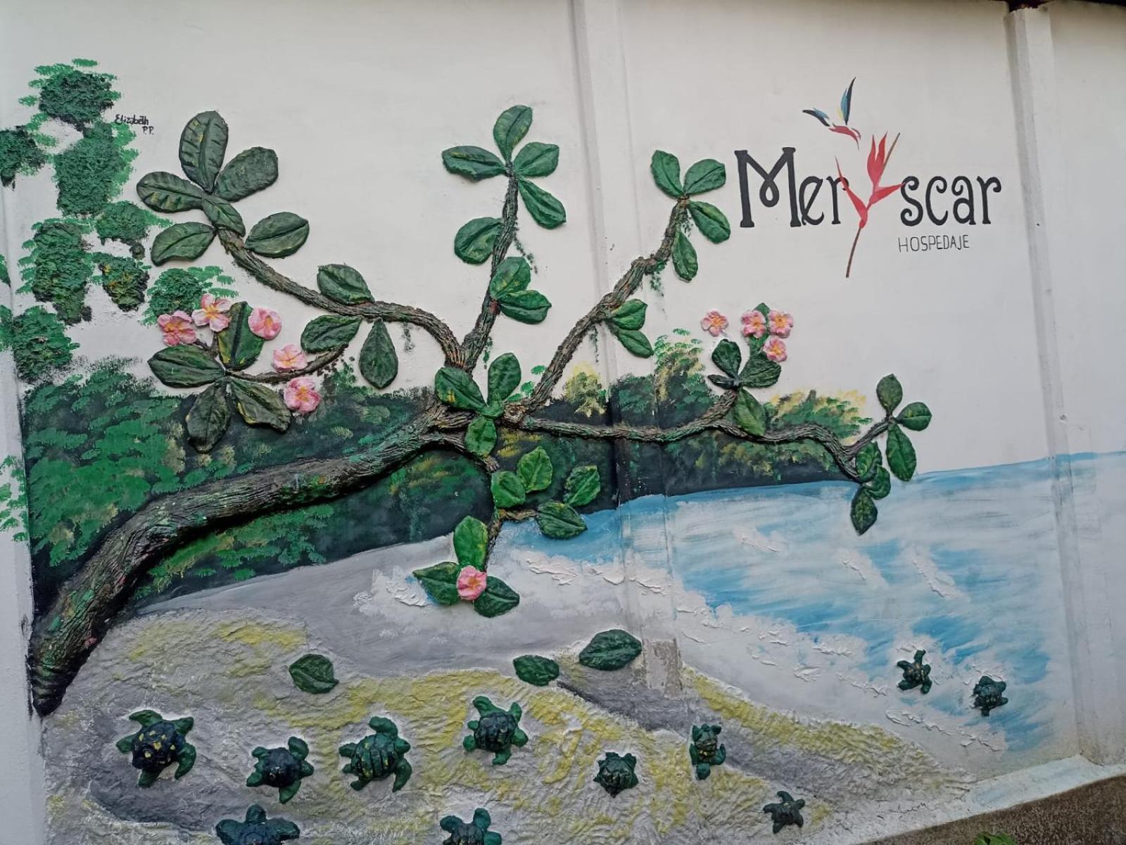Hospedaje Meryscar Tortuguero Luaran gambar