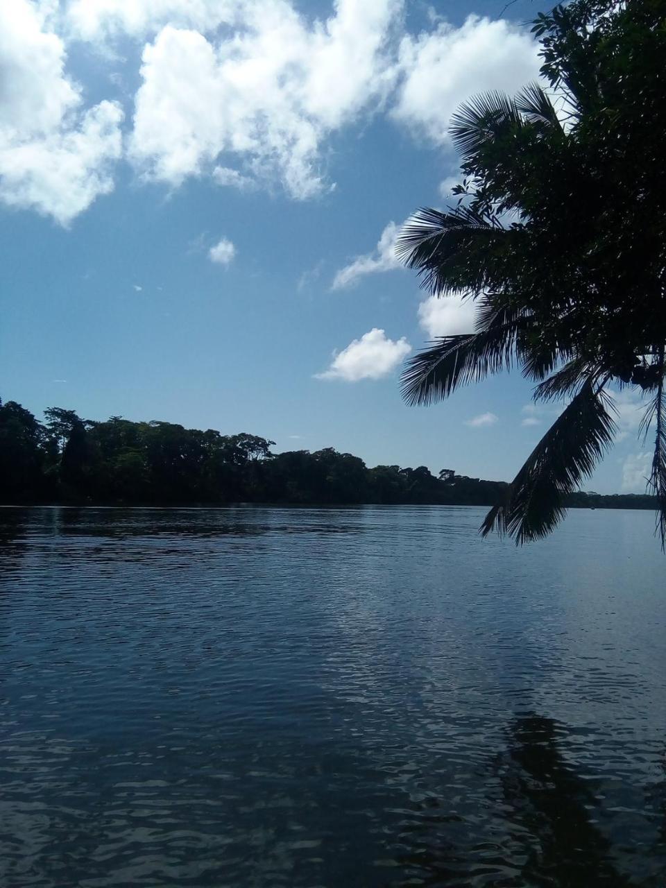 Hospedaje Meryscar Tortuguero Luaran gambar