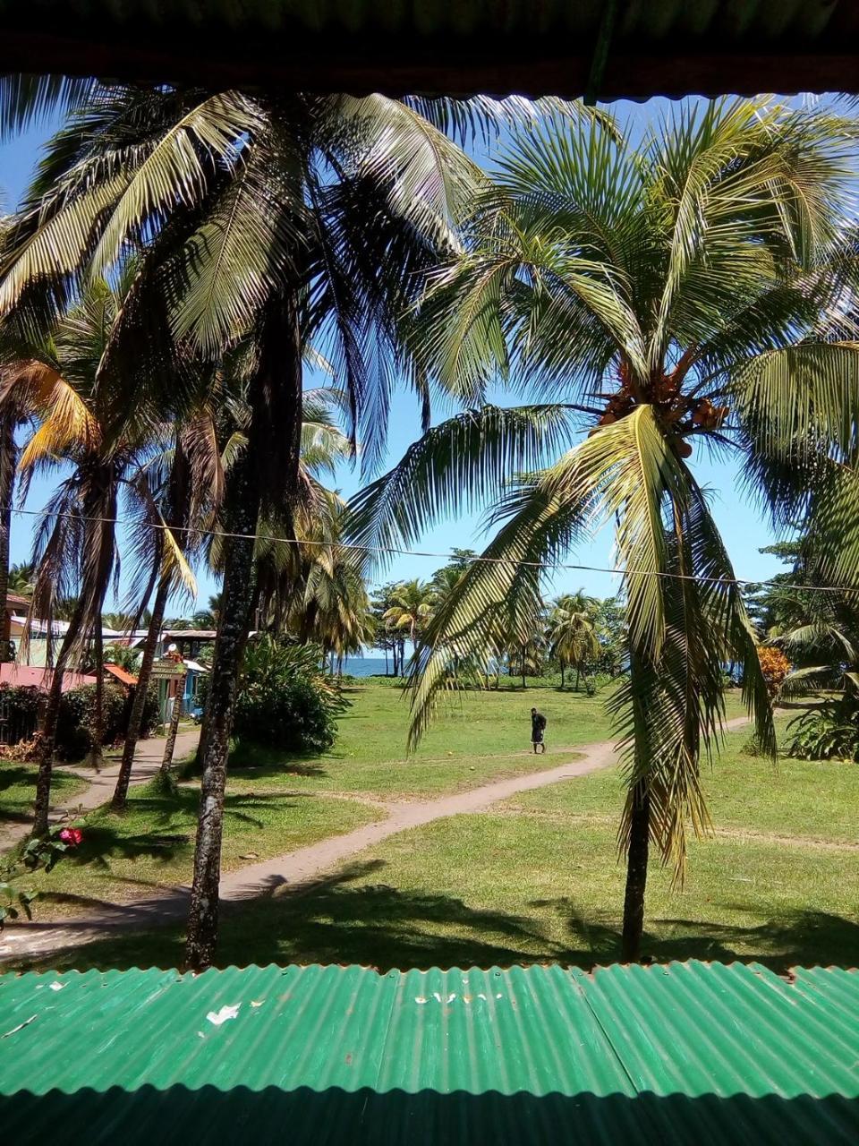 Hospedaje Meryscar Tortuguero Luaran gambar