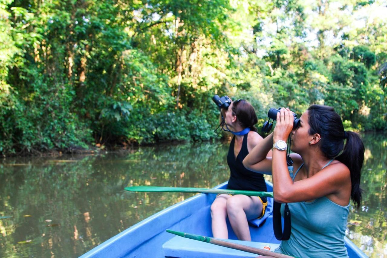 Hospedaje Meryscar Tortuguero Luaran gambar