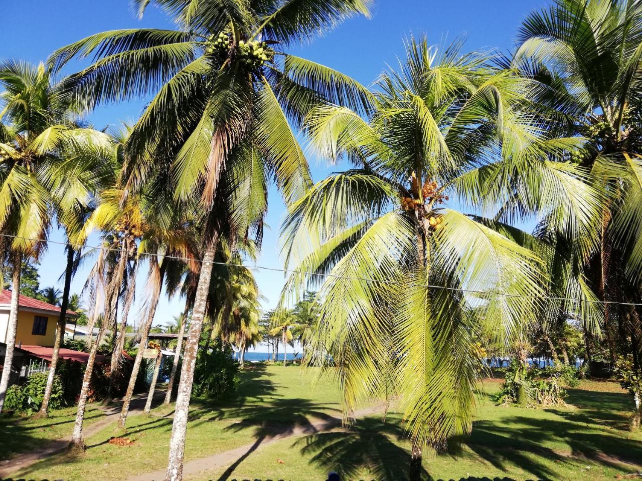 Hospedaje Meryscar Tortuguero Luaran gambar
